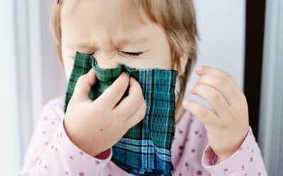 Homeopathic Tips for Colds and Allergies
